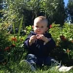 Steve Rabel - @rabelsteve - Instagram