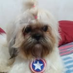 @steve_rabelo - Instagram