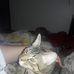 Steve Racer - Facebook