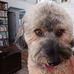 Steve Rozanske - Facebook