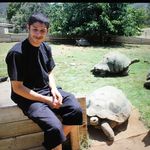 Steve Rada - @steve_rada - Instagram