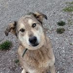 kovu steve rader - @kovurader - Instagram
