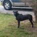 Steve Rader - Facebook