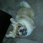 Steve Radford - @steve.radford.790 - Instagram