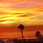 Steve Radisich - @steveradisich - Instagram