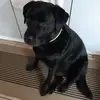 steveradisic - @steveradisic - TikTok