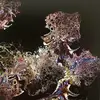 Steven Radley - @steven.radley4 - TikTok