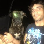 Steve Rados - @rados01 - Instagram