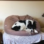 Steven Rafferty - @steven.rafferty67 - Instagram