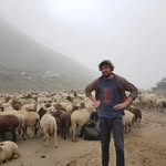 Steve Raftery - @steve_here_now - Instagram
