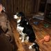 Steve Ragan - Facebook