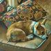 Steven Ragan - Facebook