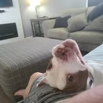 Steve ragle - @ragles - Instagram