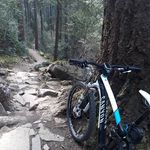 Steve Raine - @steve_raine_unclipped - Instagram