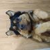 Steven Raines - Facebook