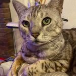 Steve Rainey - @steveunisoft - Instagram