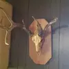 Steve Rains577 - @steverains577 - TikTok