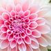 Steve Raj - Facebook