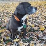 Steve Rakes - @rakessteve - Instagram