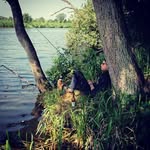 Steve Rakel - @steve.rakel - Instagram