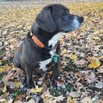 Steve Rakes - @rakessteve - Instagram