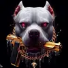 Steve Rakes - @steve.rakes - TikTok