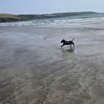 Steve Ramsay - @steve.ramsay.7524 - Instagram