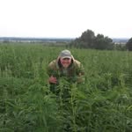 Steve Ramsay - @psifarms - Instagram