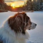Steve Ramsay - @steve.ramsay.125 - Instagram