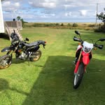 Steve Ramsay - @steve.ramsay.188 - Instagram
