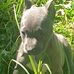 Steven Ramsay - Facebook