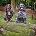 Steve Randles - Facebook