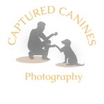 Steve Randles - @captured_canines - Instagram