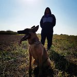 Steve Raschke - @ingeborgknickohr - Instagram