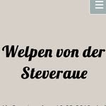 Welpen Von der Steveraue - @welpen_von_der_steveraue - Instagram