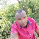steve real - @stevereal3 - Instagram