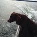 Stephen Reasoner - Facebook
