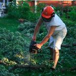 Steve Rector - @camp_steve_woodworking - Instagram