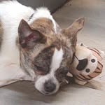 Steve Redding - @1952redding - Instagram