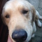 Steve Redding - @usc_redding - Instagram