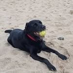 Steve Redfearn - @steve.redfearn.7 - Instagram