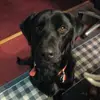 steveredmondsr - @steveredmondsr - TikTok