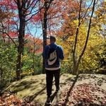 Steve Rees - @steverees8 - Instagram