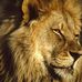 Steve Regis - Facebook