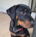 Steve Regis - Facebook