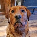 Steve Reiling - @reilingsteve - Instagram
