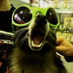 Steve Rendon - @djsleazy_steve - Instagram