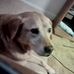 Steve Renner - Facebook
