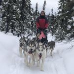 Steve Renner - @screnner22 - Instagram