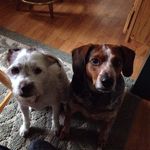 Steve Renner - @steverenner0930 - Instagram